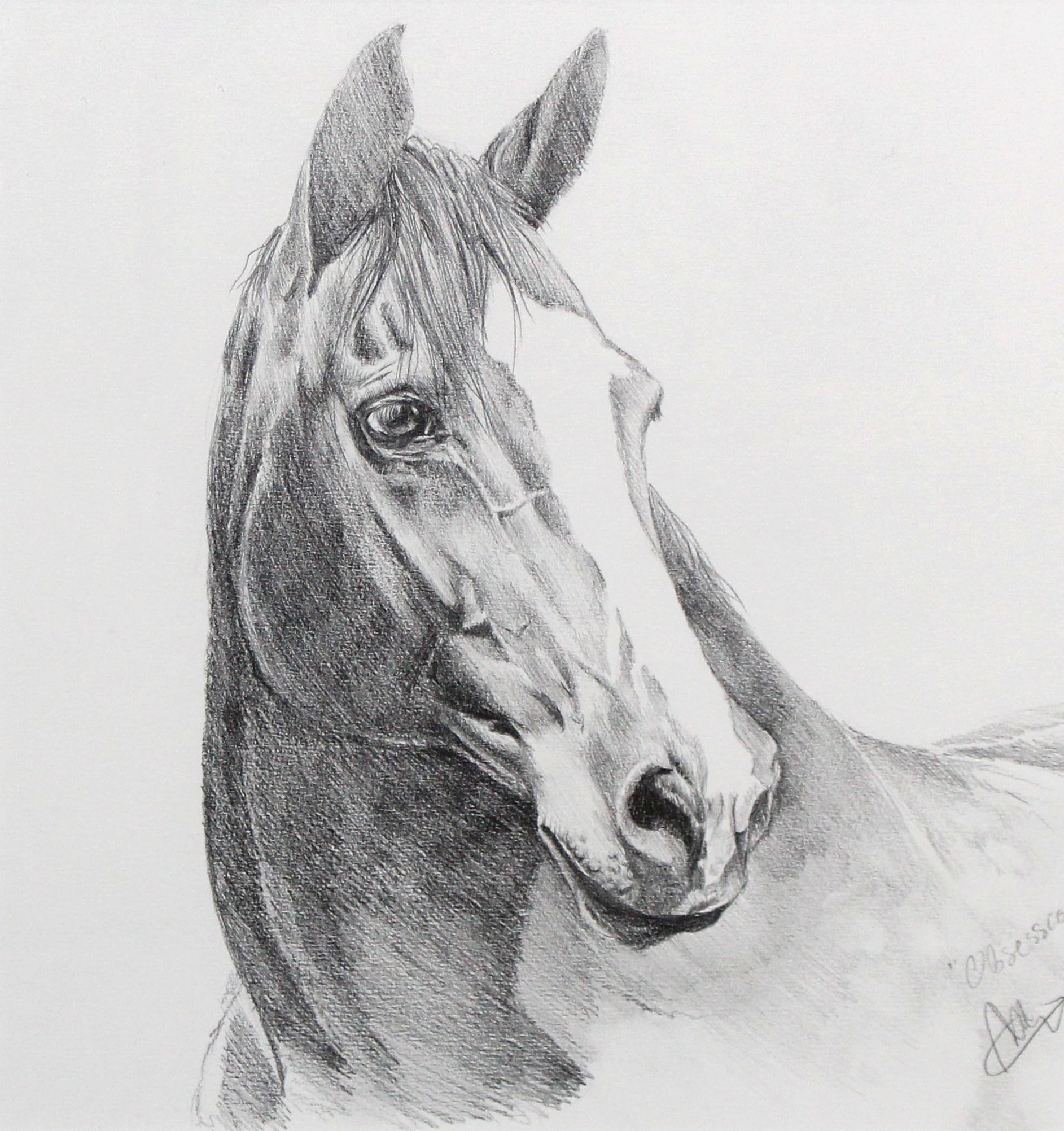 Obsession — charcoal drawing by Mirelle Vegers