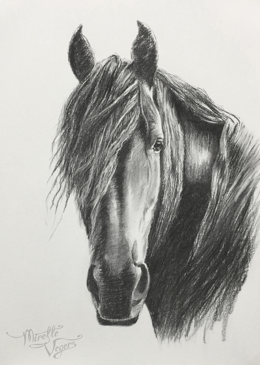 Romka — charcoal drawing by Mirelle Vegers