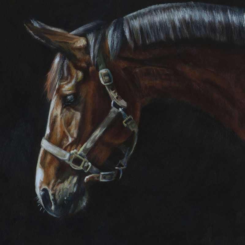 Commission oil painting — equine portrait