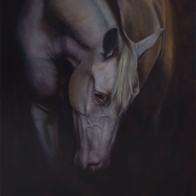 Commission oil painting — equine portrait