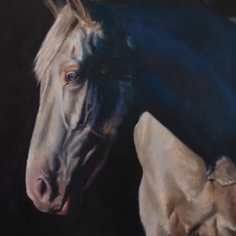 Commission oil painting — equine portrait