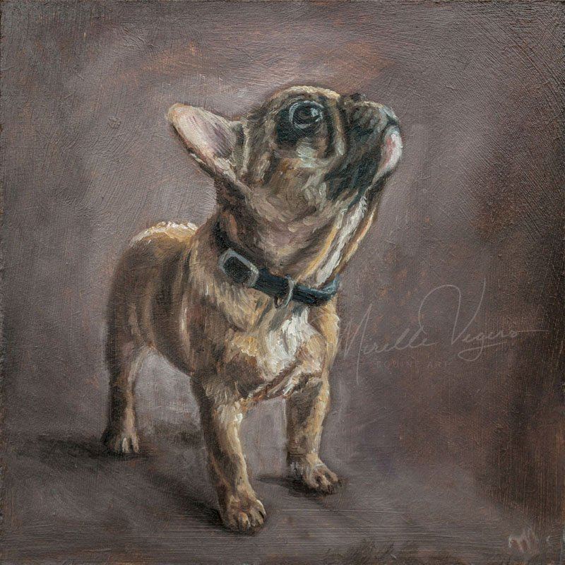French Bulldog, 20×20 cm