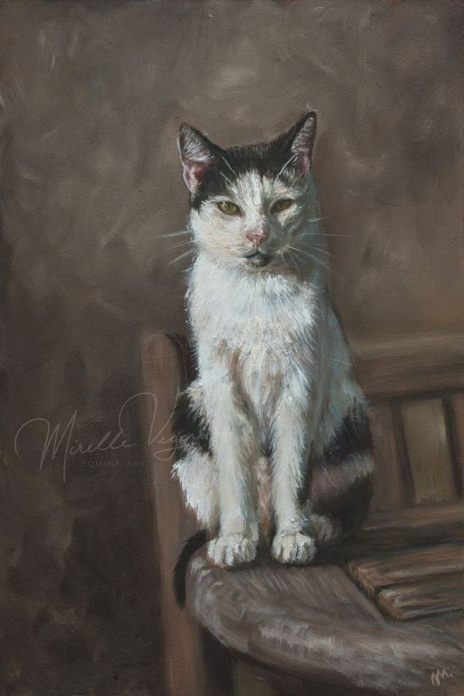 Cat, 20×30 cm