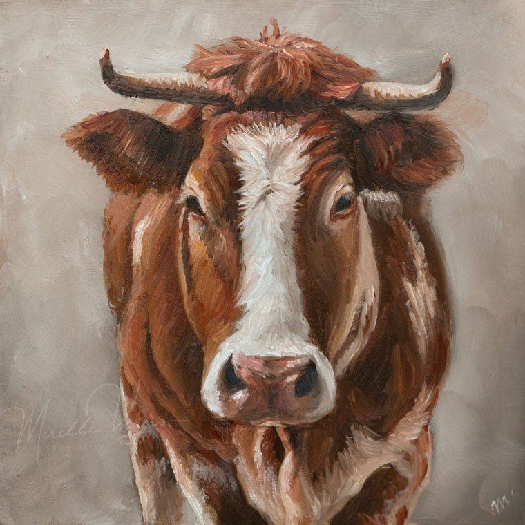 Cow with Blaze, 20×20 cm