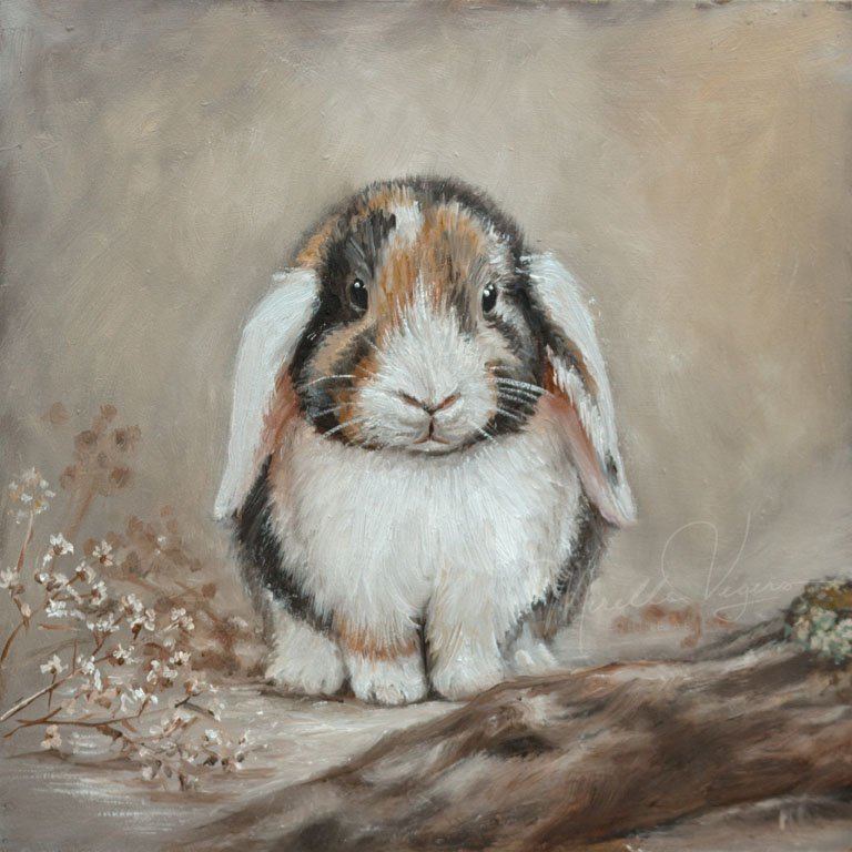 Rabbit, 20×20 cm