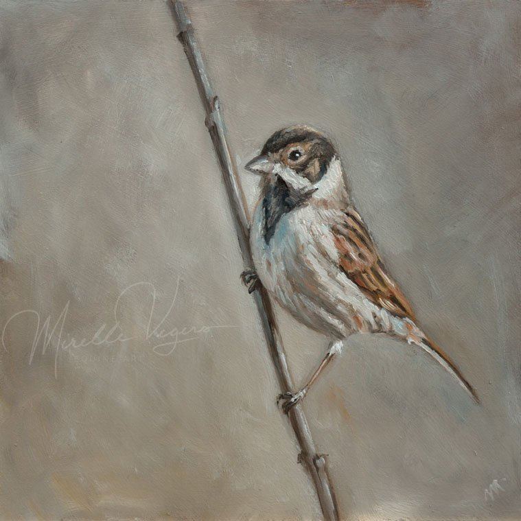 Sparrow, 20×20 cm