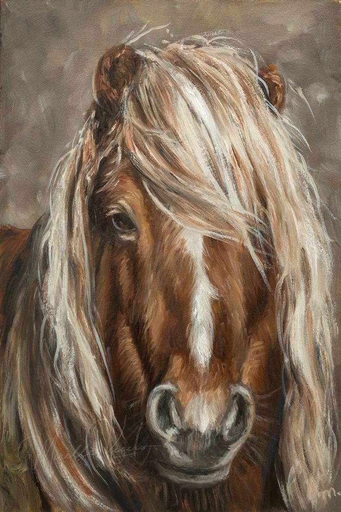 Shetland Pony, 20×30 cm