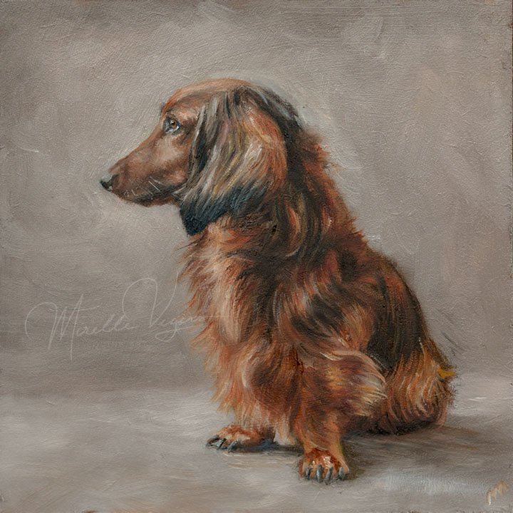 Dachshund, 20×20 cm
